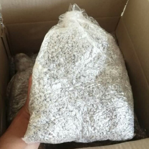 بذر قارچ دکمه ای یک کیلوگرمی