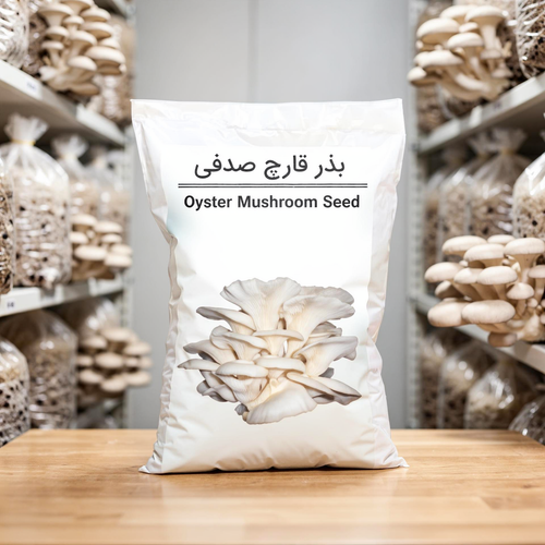 بذر قارچ صدفی آبی 1کیلوگرم